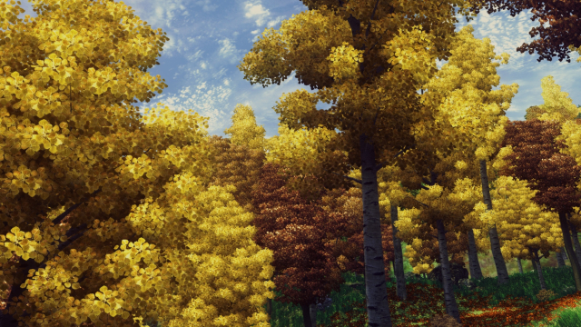 Осенний лес в Сиродиле