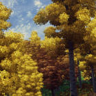 Осенний лес в Сиродиле