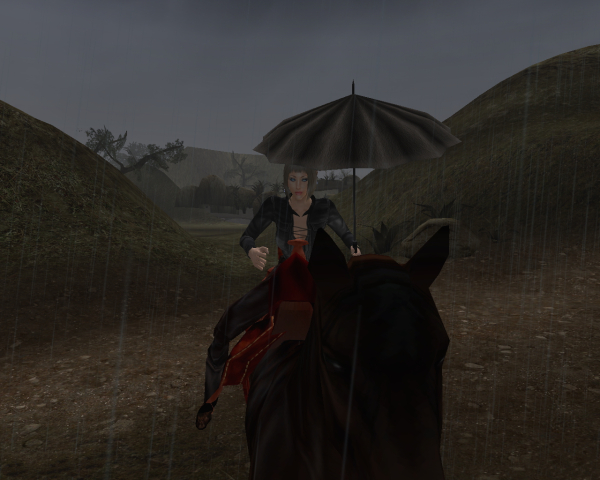 В дождь, на лошади... под зонтом...романтика блин...:)