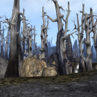 Morrowind порой выдаёт невероятную картинку
