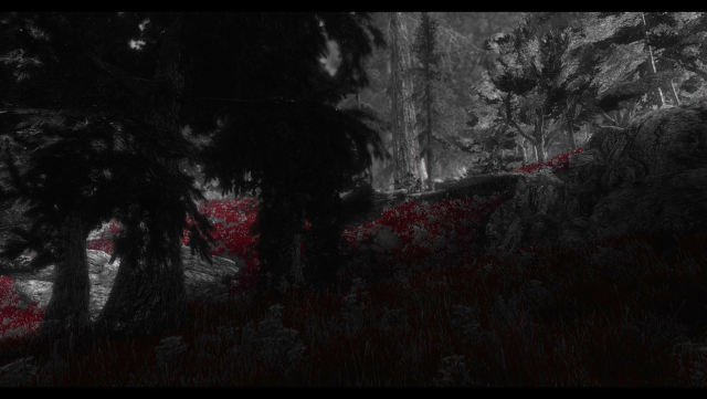 Bloody Forest.