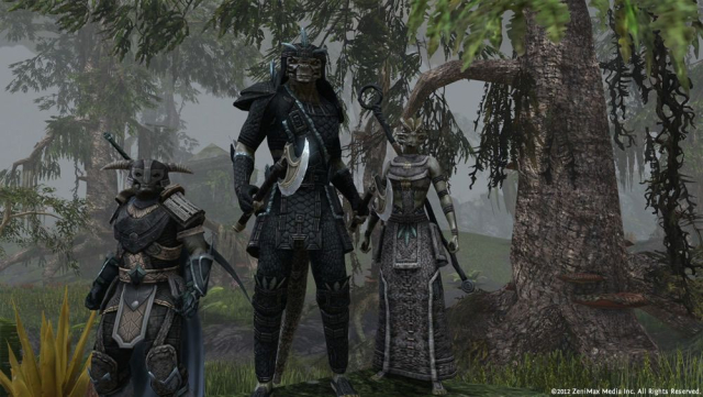Скриншот The Elder Scrolls Online