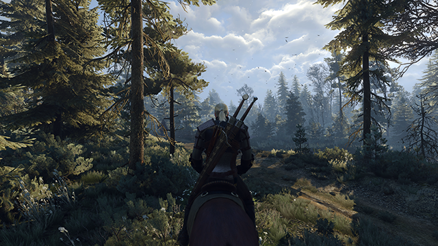 thumb_pre_1432399815__the-witcher-3-wild