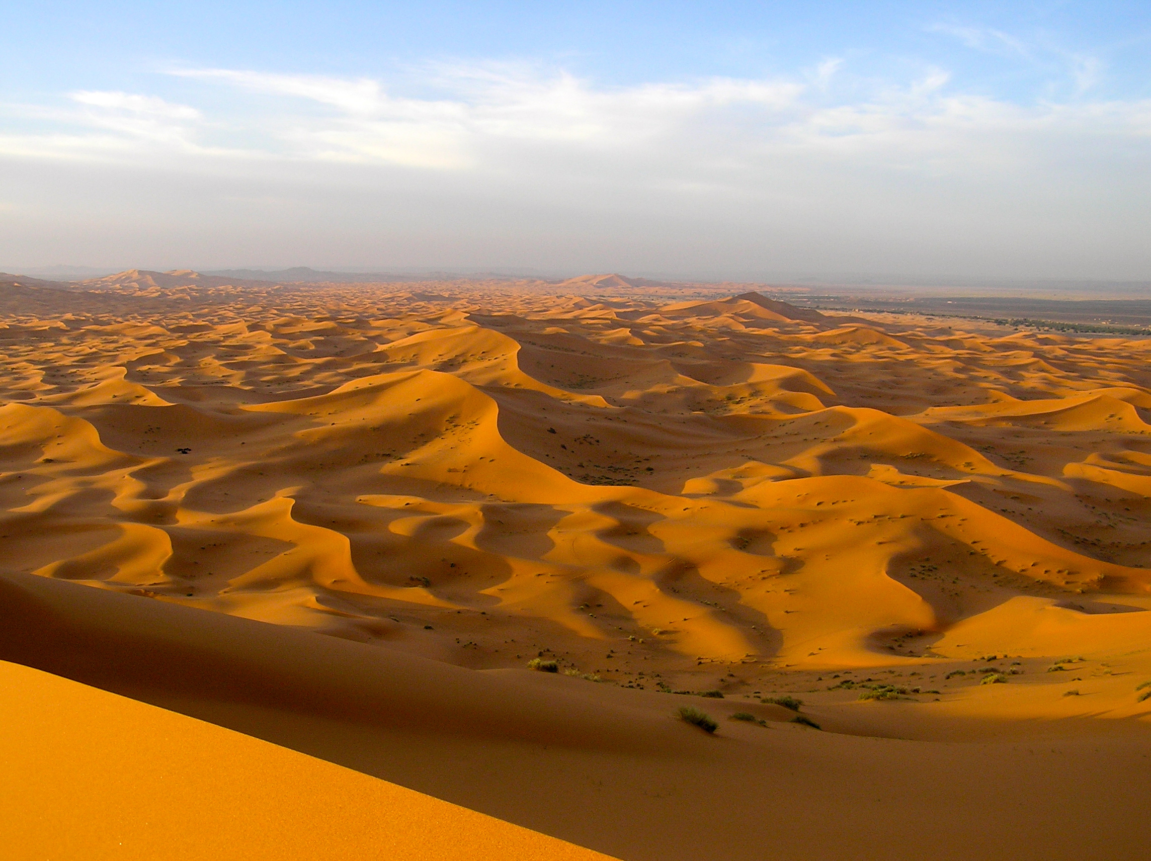 Пустыня. Пустыня малый Нефуд. Пустыня Каракум Оазис. Африка пустыня сахара. Пустыни Африки сахара.