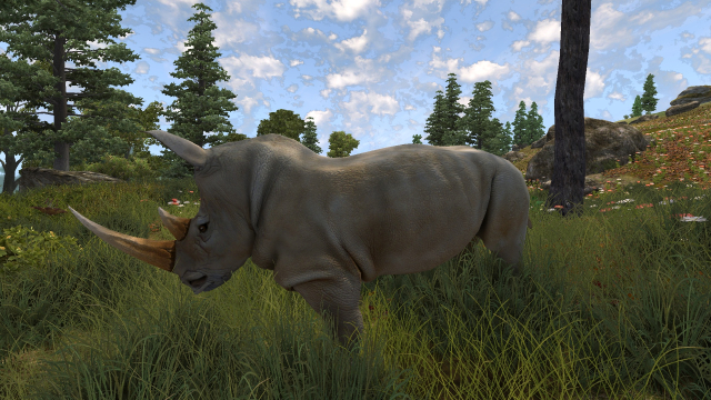 У носорога плохое зрение, но это не его проблема.