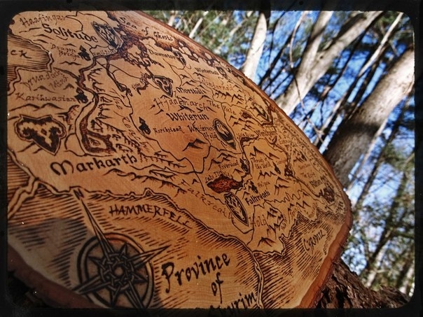 Карта на срезе дерева.
