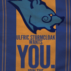 I want you for the Stormcloak army!