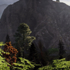 Dragon Age Inquisition / Panorama