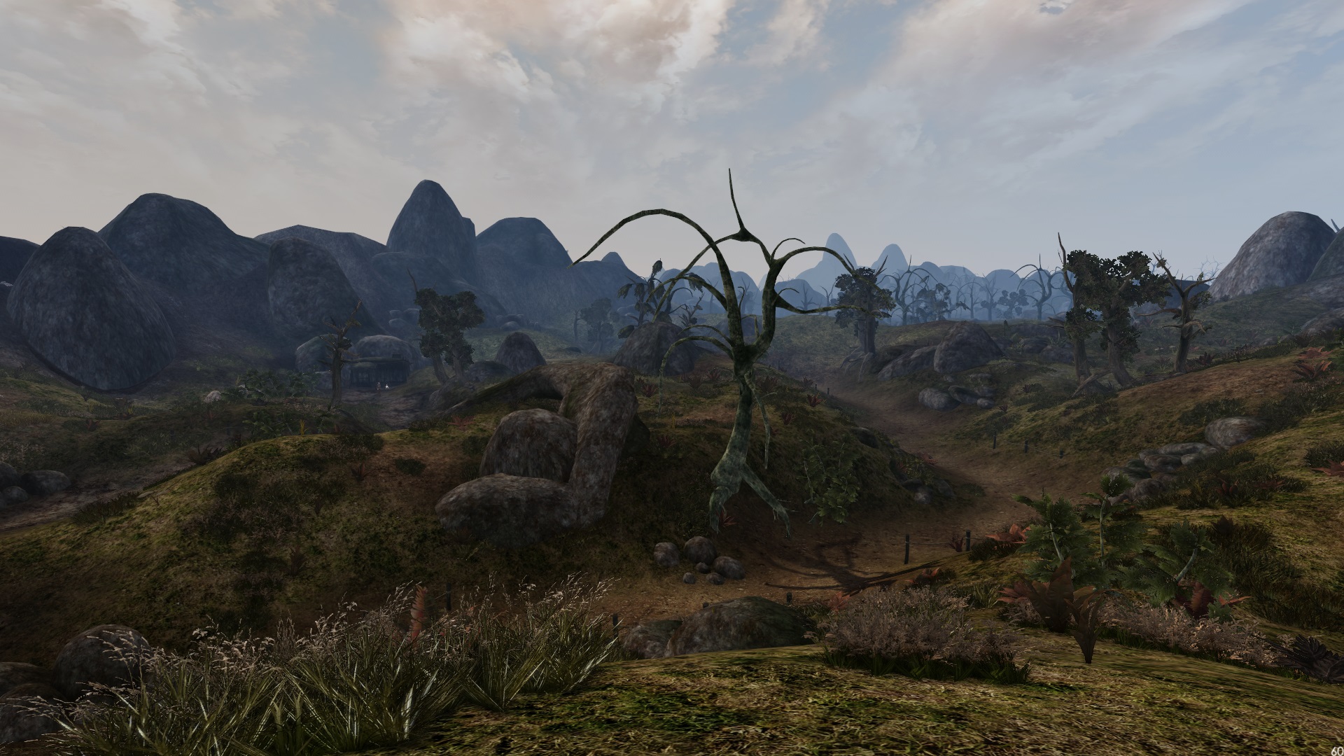 Morrowind graphics extender steam фото 72