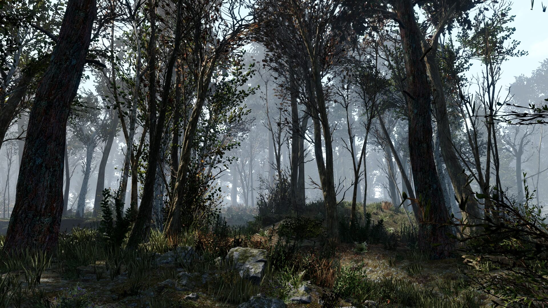 Fallout 4 natural landscapes 2k 4k фото 105