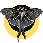 Аватар пользователя Prince-Moth